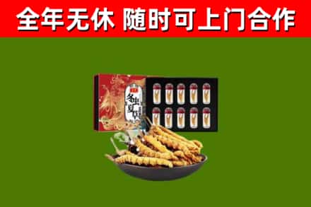 梁山县回收冬虫夏草价格