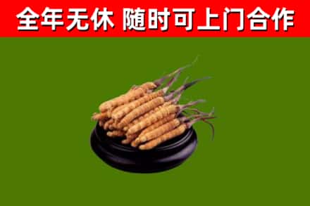 梁山县烟酒回收冬虫夏草.jpg
